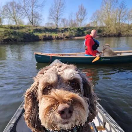 Bridge Glamping - Aurora Tent * 艾尔德沃克