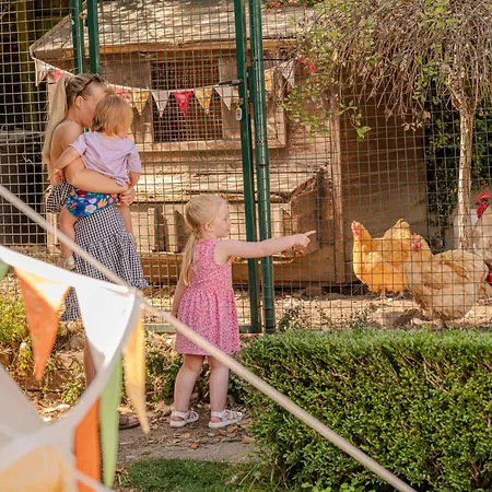 Bridge Glamping - Aurora Tent * Aldwark (North Yorkshire)
